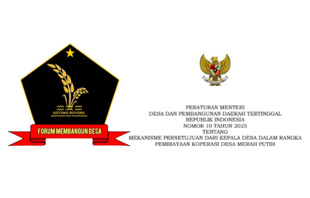1000225634-1024x655.jpg