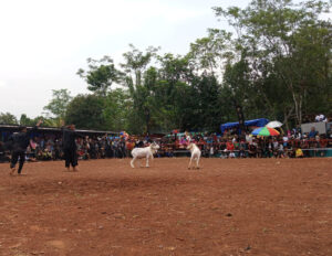 Ajang Ketangkasan Dongkrak UMKM Sukaluyu 2