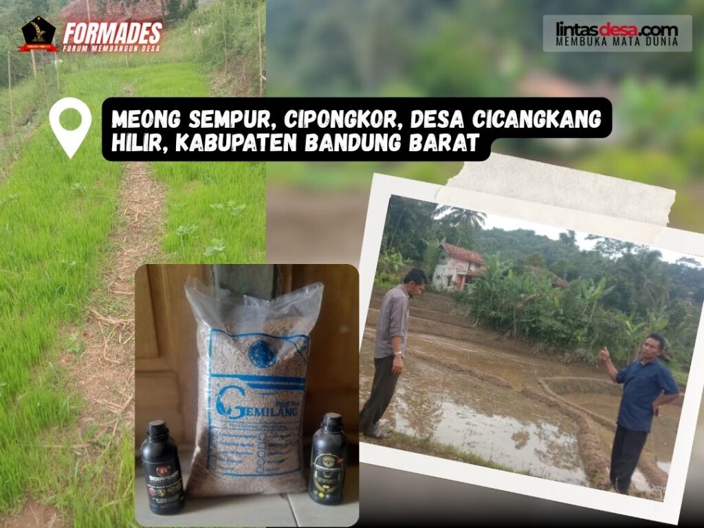 COVFI-Edukasi Petani - 04 10 2025