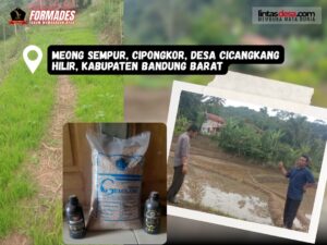 COVFI-Edukasi Petani - 04 10 2025