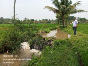 program bantuan perbaikan irigasi 1