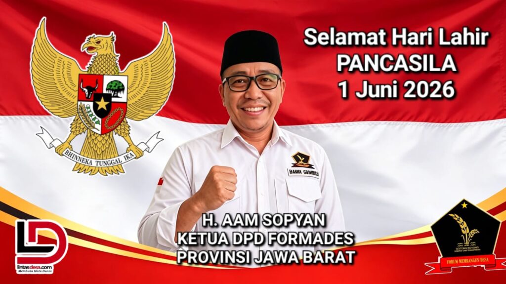 WhatsApp Image 2026-06-01 at 19.28.31