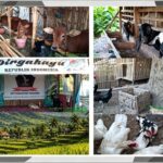 DPC FORMADES Kabupaten Sumenep