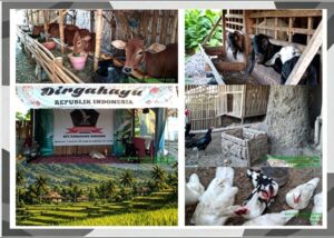 DPC FORMADES Kabupaten Sumenep